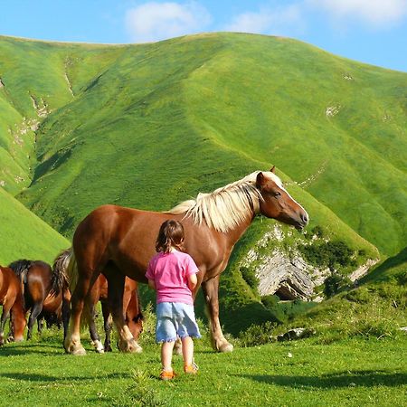 Agroturismo Mari Cruz Villanueva de Arce Exteriér fotografie
