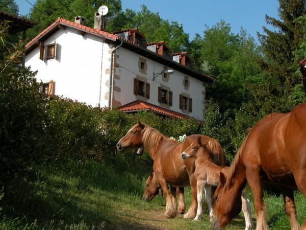 Agroturismo Mari Cruz Villanueva de Arce Exteriér fotografie