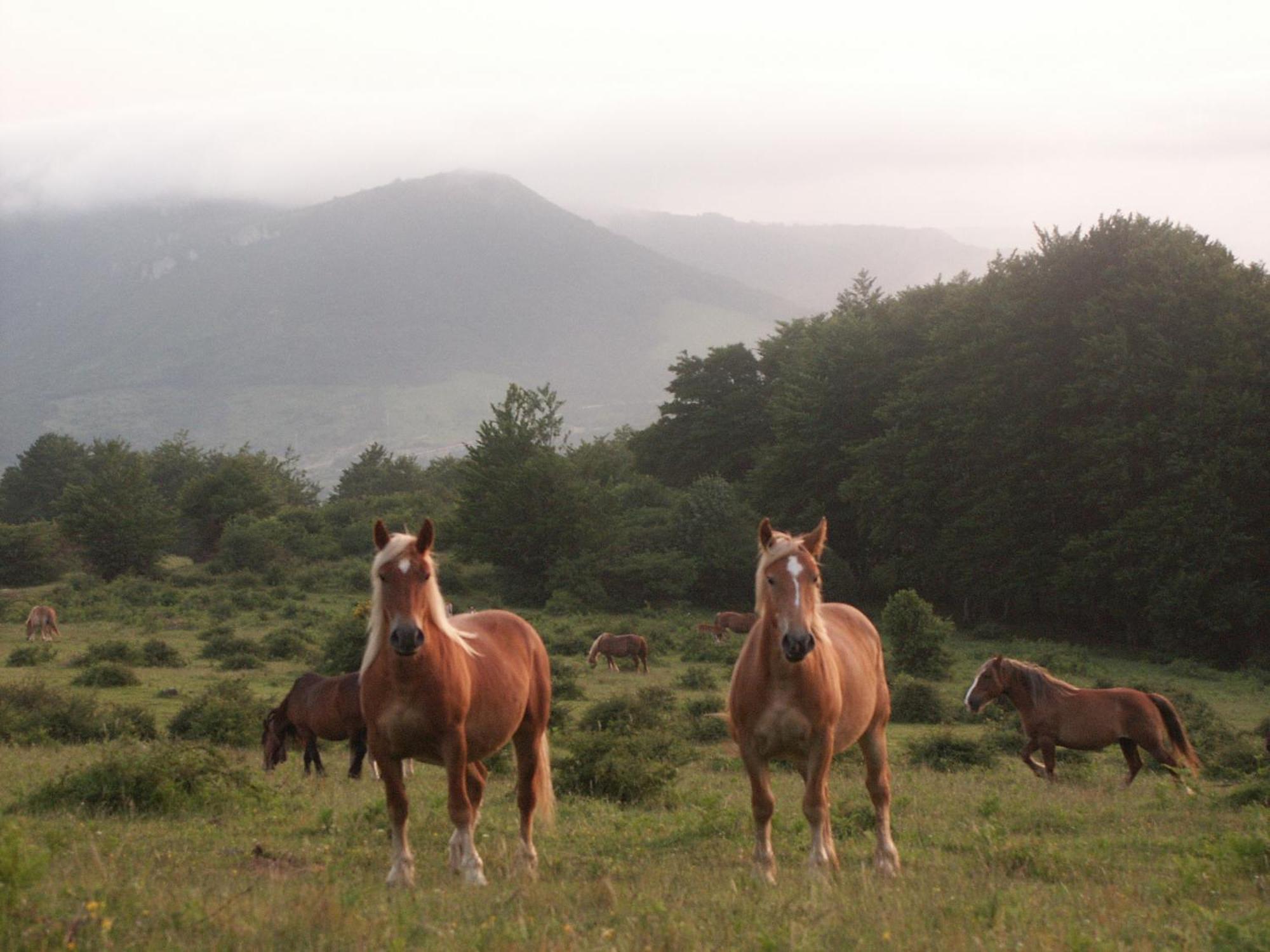 Agroturismo Mari Cruz Villanueva de Arce Exteriér fotografie